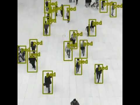 YOLOPeds: Efficient Single-Shot Pedestrian Detection for Smart Camera Applications