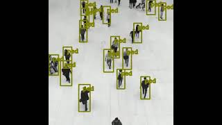 YOLOPeds: Efficient Single-Shot Pedestrian Detection for Smart Camera Applications