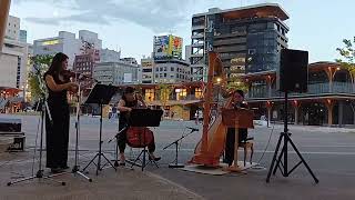 Download lagu カミーユ・サン=サーンス作曲「白鳥」 “The Swan” from *The Carnival of the Animals* by Camille Saint-Saëns mp3 Download lagu カミーユ・サン=サーンス作曲「白鳥」 “The Swan” from *The Carnival of the Animals* by Camille Saint-Saëns mp3