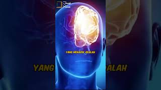 Download lagu Orang Akan Lihat Ini Menjelang Ajal #shorts #faktaunik mp3