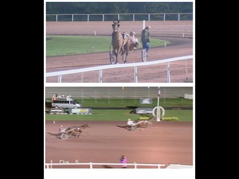 Barack Flevo & Bas Crebas winnen op Hippodrome de Wallonie - 7 okt. 2014