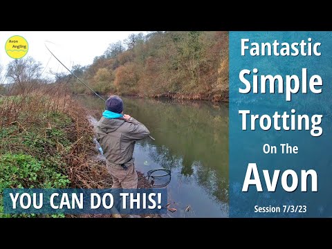 Fantastic River Fishing - Stick Float Trotting The Avon For Big Chub - 7/3/23 (Video 391)