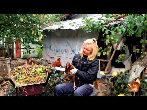 🏡 Причина переезда в село. Работы нет. Тянет туда где родилась!