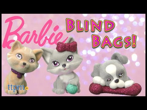 barbie loves pets blind bags