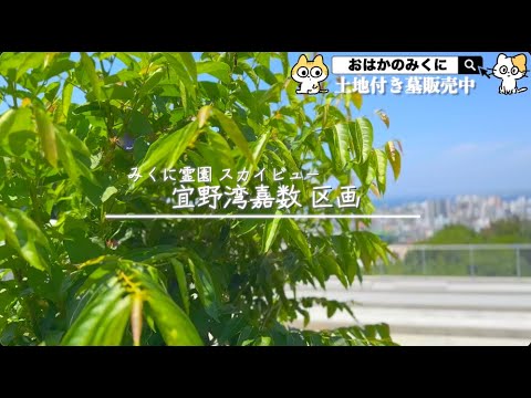 宜野湾嘉数みくに霊園 スカイビュー【区画紹介】【人気区画】