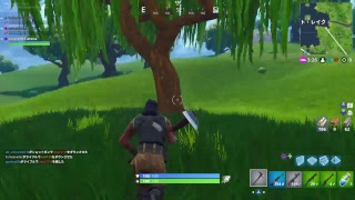 PS4 フォートナイト 垂れ流し