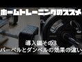 バーベルとダンベルの効果の違い ホームトレーニングのススメその3