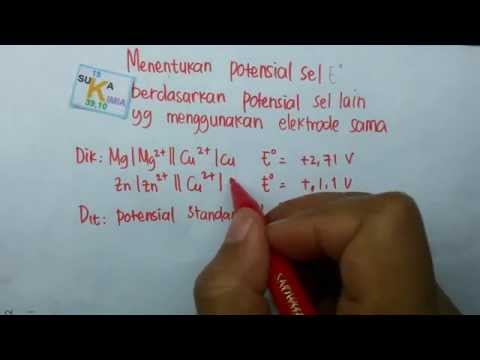 Bebas benar-benar meningkatkan penis Anda Anggota peningkatan mahasiswi