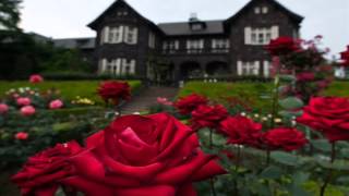 tea cup / gackt - moonbeams