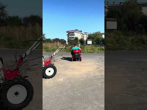 фото электроскутер tsunami family 1500w - стиль, кофмфорт и свобода без затрат на бензин 0