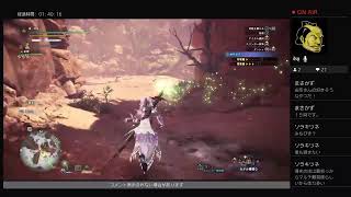 MHWIbこそこそプレイ
