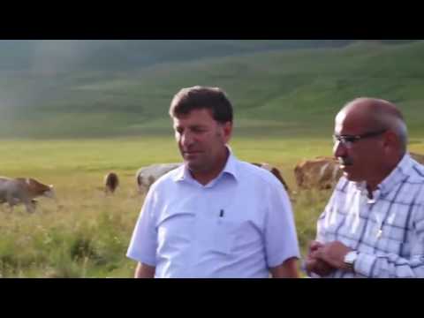 Ardahan Posof Posuflu - çobandan insanlık dersi