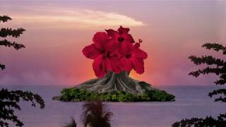 Zara McFarlane - Everything Is Connected