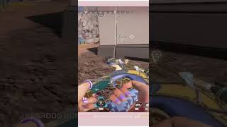 カービン大好きだけどミラージュには一生弱い女 | #karqn_ (#Twitch)