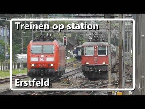 Diverse treinen op station Erstfeld // Züge am Bahnhof Erstfeld