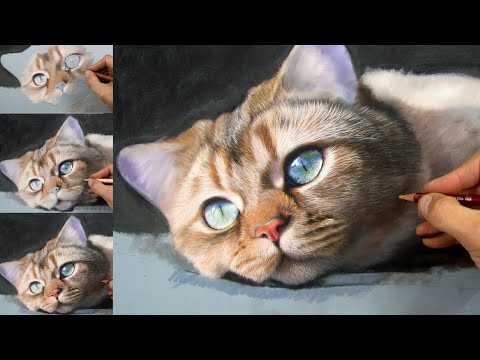 Pastel Cat Drawing/ Painting- Beginner PanPastels / Pastel Pencil lesson | Jason Morgan Art