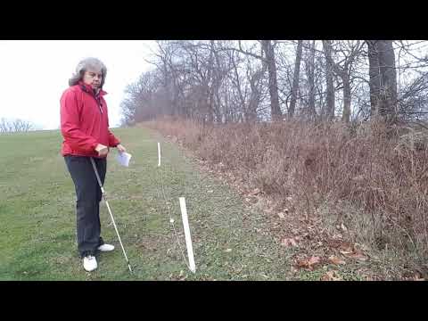 Simplifying The Rules Of Golf (Ball on the line; in bounds or out of bounds?)