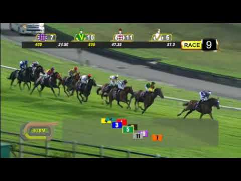 ハイアーソウル 9着　2019.09.20　R09