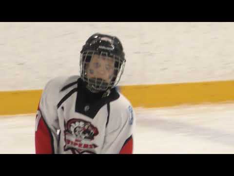 Severstal White - HC Vipers 2.periood