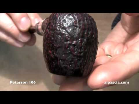 pipa Peterson 106 - smoking pipes