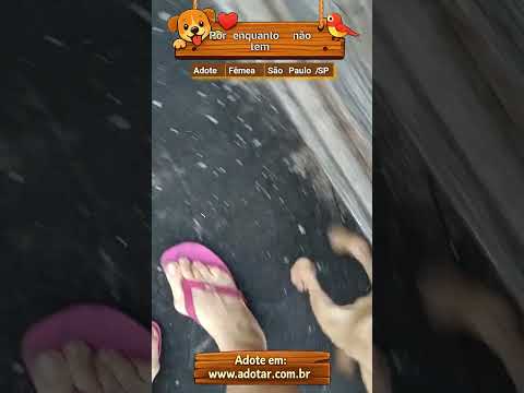 Vídeo de Por enquanto não tem 