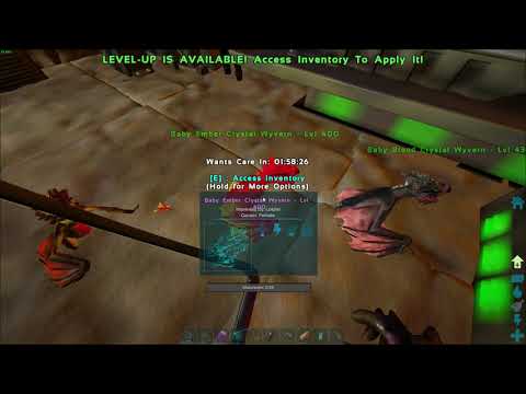 CUTE BABY CRYSTAL WYVERN! - Ark: Crystal Isles Part 31