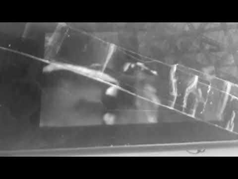 "Animal Age 3: Dawn Of The Creatures (2009)" Parte 10 - Abismo da Morte