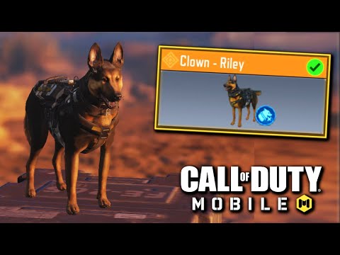 YouTube video about: How to get dogs in cod mobile?