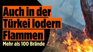 Waldbrände in der Türkei: 3.500 Helfer kämpfen gegen die Feuer-Hölle!