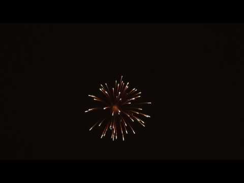 SCP12/150 - 150mm Gold Strobe Willow Shell