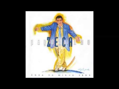 Perfeita Harmonia - Zeca Pagodinho