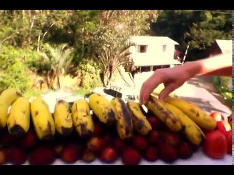 Fruits of Madagascar