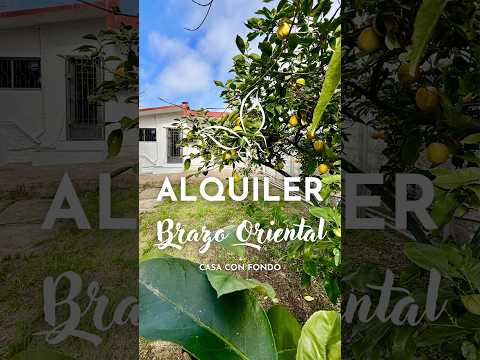 💛Alquilamos hermosa CASA con fondo de 80 m2 en Brazo Oriental💛