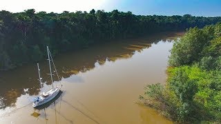 Our SAILBOAT up a South American Jungle River!? - Sailing Vessel Delos Ep. 194