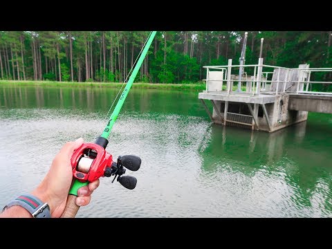 This TROPHY Pond is LOADED w/ GIANT Bass (Jig Fishing) Video
