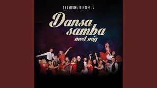 Deirdres samba - Extranummer