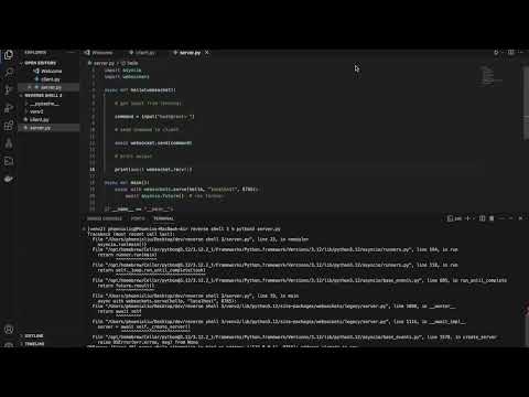 Python Reverse Shell No Payload