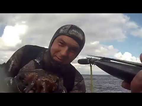 Pescasub: Prendi il polpo e scappa!