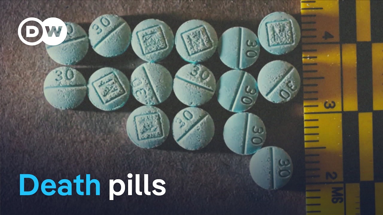 Opioid Crisis in the US: Business & Addiction (Part 2)