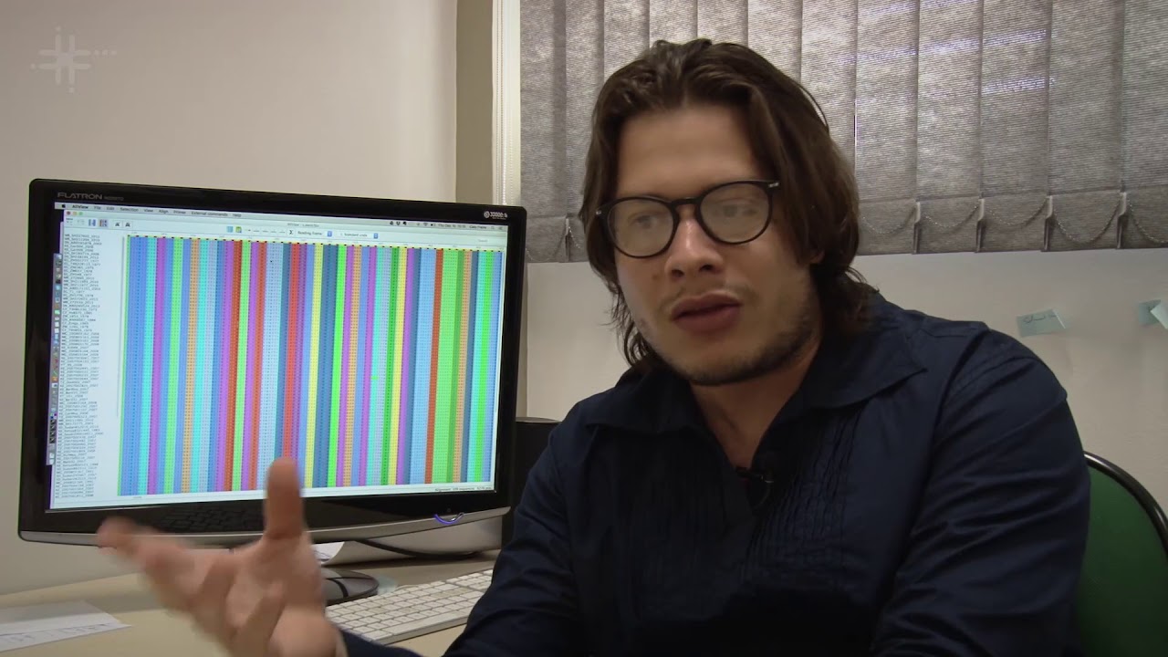 Pesquisa da UFSCar utiliza a bioinformática para compreender a evolução dos vírus