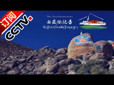 [Tibet Short Documentaries] Buddha Display  at Drepung Monastery | CCTV