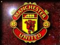 Manchester United Hooligans song