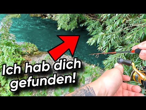 Eben noch gelebt, jetzt gegessen. Angeln am Bach