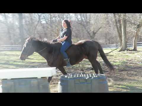 3.16.2018 Jenna S Nuth & Dark Delight Cantering Around Field Bareback
