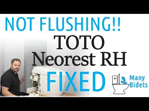 image-Why is my Toto toilet not flushing properly?