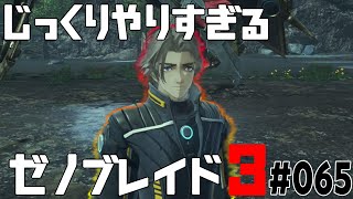 じっくりやりすぎる【ゼノブレイド3】#065