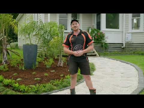 How to Create a Classic Low Maintenance Garden | Mitre 10 Easy As Garden