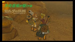 【実況】方向音痴が駆ける【ゼルダの伝説ブレスオブザワイルド】47