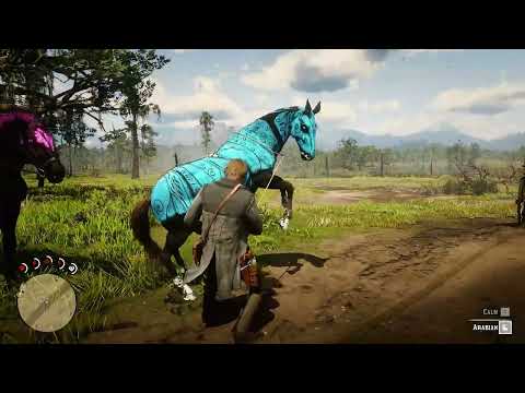 ARTHUR CATCH A BEAUTIFUL CUSTOM HORSE - Red Dead Redemption 2 Gameplay