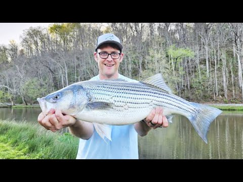 Catching a huge fish on the river (Still Water Flats)